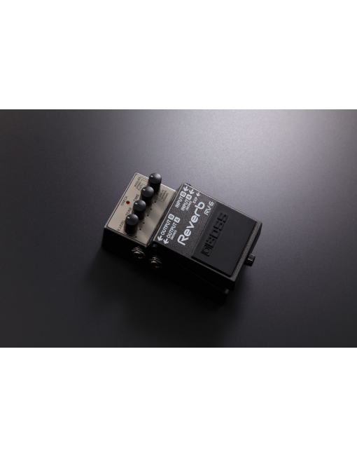 RV_6_Promo_1 Boss RV-6 Reverb