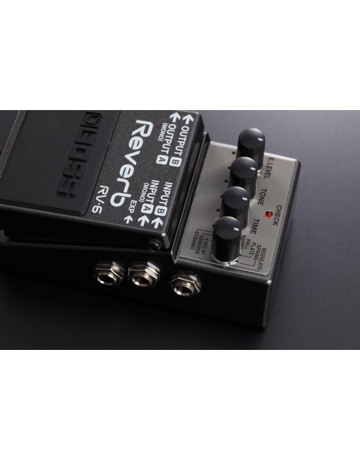 RV_6_Promo_2 Boss RV-6 Reverb