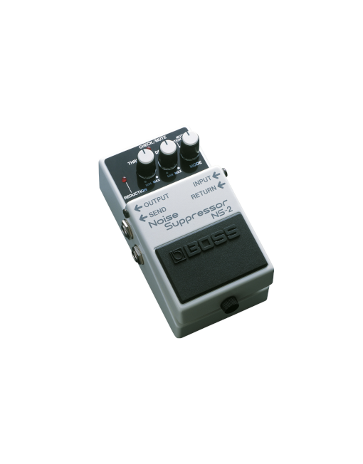 Boss NS-2 Noise Surpressor