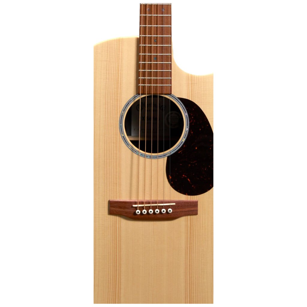 Martin GPC-X2E Cocobolo