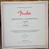 Fender Limited Edition Bruno Mars Stratocaster 2024 - Mars Mocha