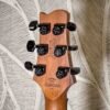 Chapman Guitars Guardian Cyber Gold Metallic