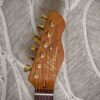 Chapman Guitars Lawmaker Classic Manhattan Black