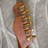 Chapman Guitars Lawmaker Classic Manhattan Black