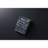 Boss IR-200 Amp & IR Cabinet