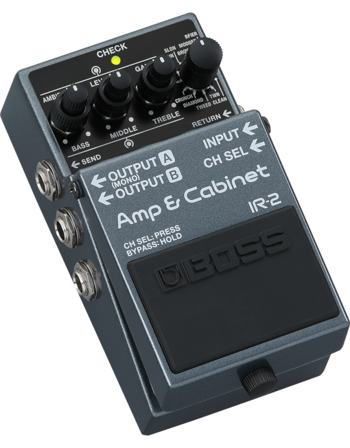 Boss IR-2 Amp & Cabinet