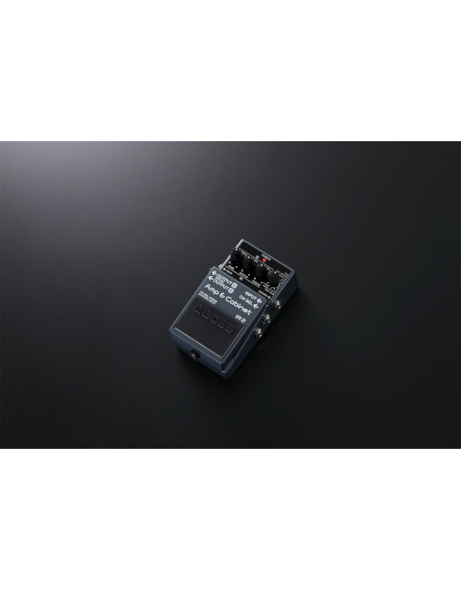 Boss IR-2 Amp & Cabinet