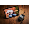 Boss IR-2 Amp & Cabinet