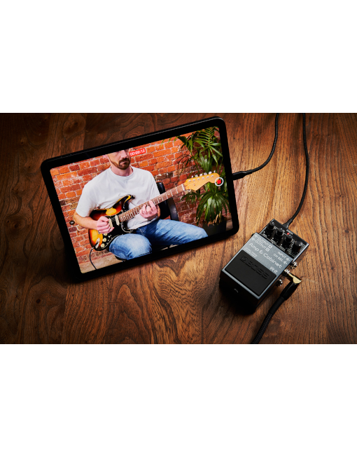 Boss IR-2 Amp & Cabinet