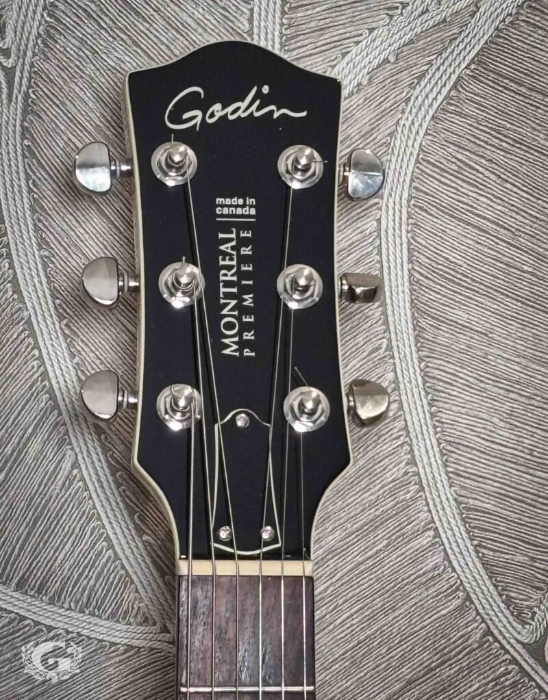 Godin Montreal Premiere Tripleplay / OCCASION