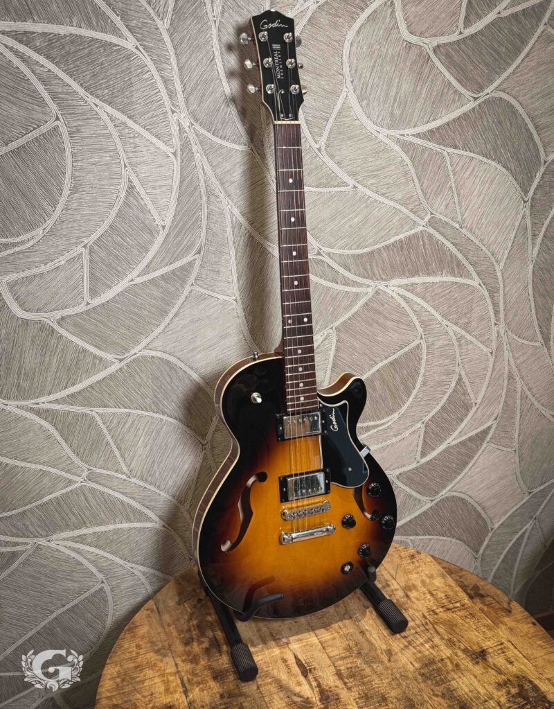 Godin Montreal Premiere Tripleplay / OCCASION