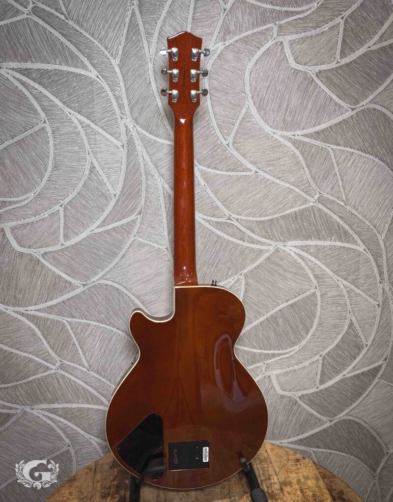 Godin Montreal Premiere Tripleplay / OCCASION