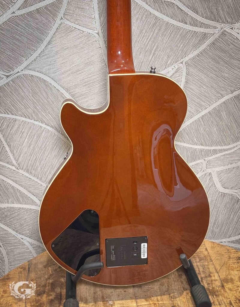 Godin Montreal Premiere Tripleplay / OCCASION