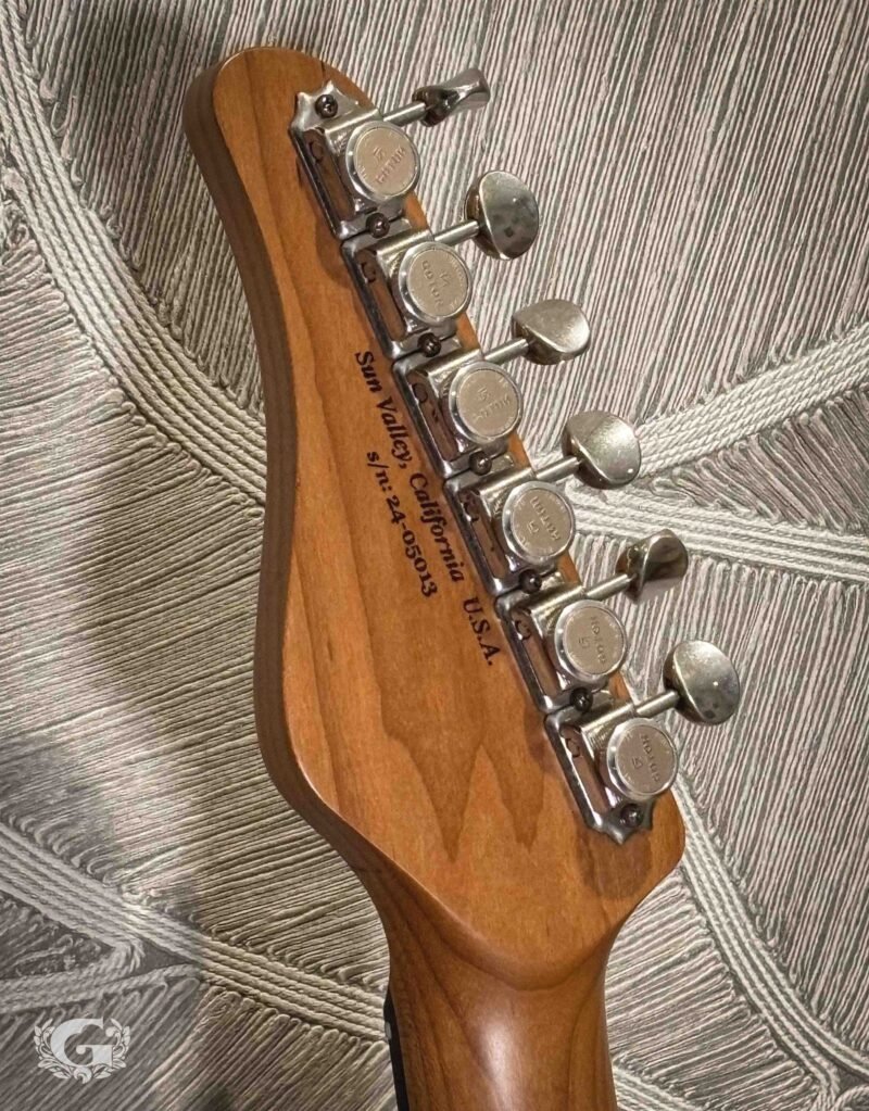 Schecter Traditional USA Wembley HSS - Charcoal