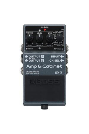 Boss IR-2 Amp & Cabinet