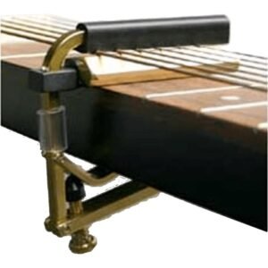 Shubb C6b Dobro Capo