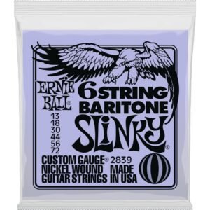 Ernie Ball 2839