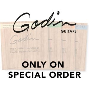 Godin A-10