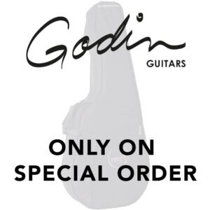 Godin TUN-E Clip On (Chromatic)
