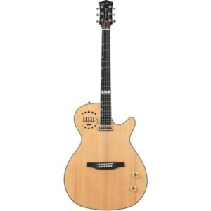Godin MultiAc Steel Naturel HG
