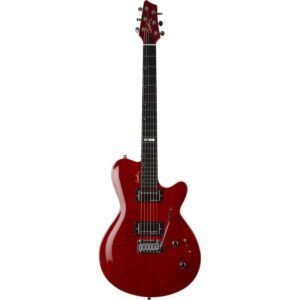 Godin DS-1 Daryl Stuermer
