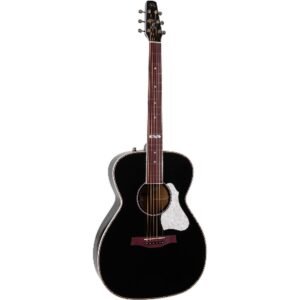Godin Artist Limited Tuxedo Black EQ