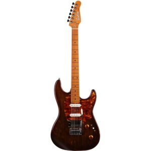 Godin Session T-Pro LTD Kanyon Burst MN w/ Bag