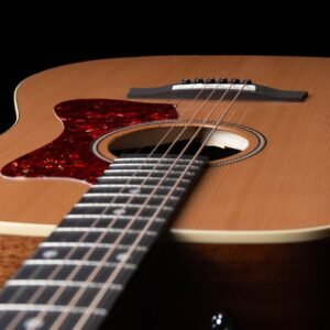 Godin Century Maho Nat EQ W Bag