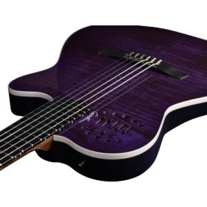 Godin ACS Steve Stevens Signature 25TH Anniv w/ Case