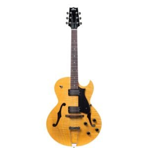 Heritage Hollow Electric Guitar w/ Case