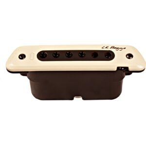 LR Baggs M80