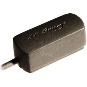 LR Baggs Radius-M
