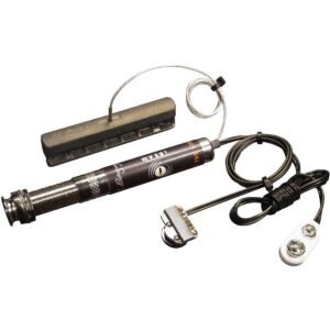 LR Baggs Ibas-C
