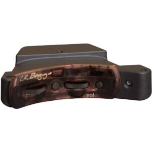 LR Baggs Session VTC