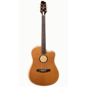 LR Baggs Baggs AEG-1 Acoustic Electric Guitar-Torrefied